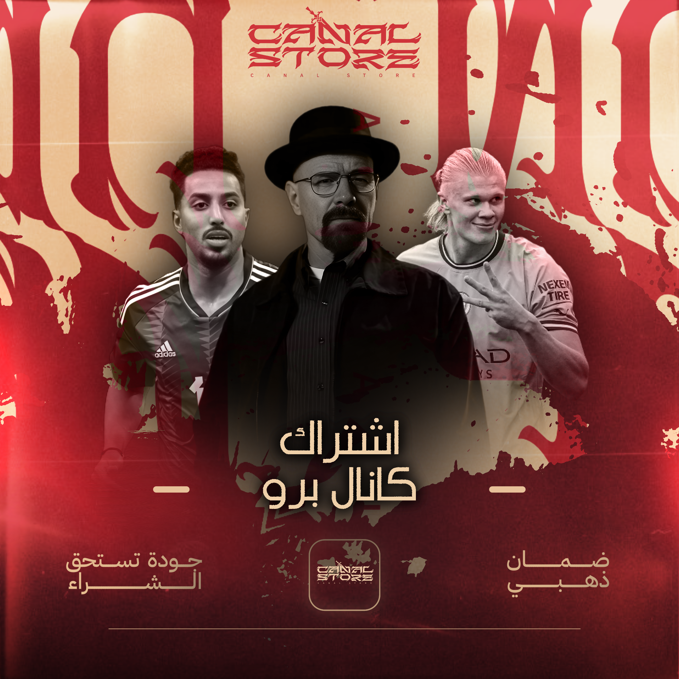 كانال برو (6 أشهر)